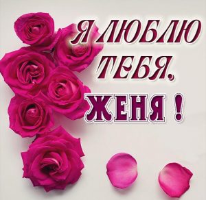 Скачать бесплатно Признание Женя я тебя люблю в картинке на сайте WishesCards.ru