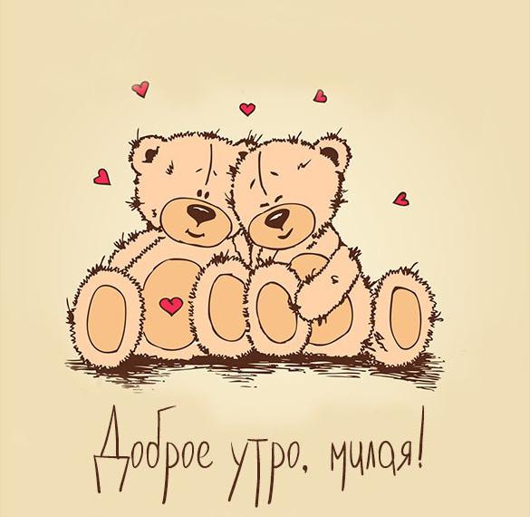 Скачать бесплатно Романтическая открытка доброе утро милая на сайте WishesCards.ru
