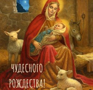 Скачать бесплатно Рождественская фото картинка на сайте WishesCards.ru
