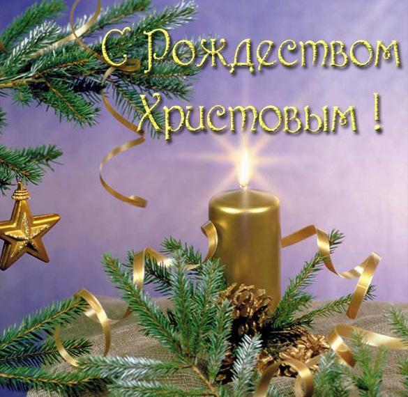 Скачать бесплатно Рождественская открытка с елкой на сайте WishesCards.ru