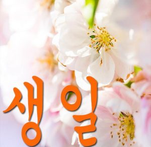 Скачать бесплатно С днем рождения по корейски в картинке на сайте WishesCards.ru