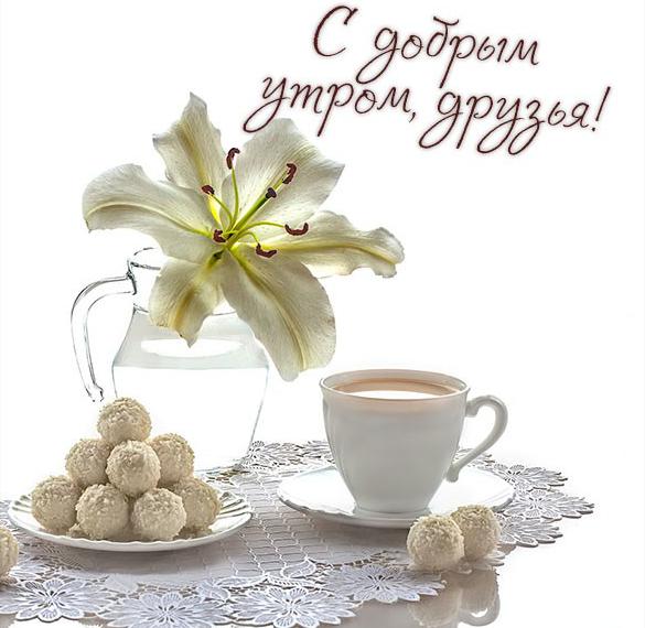 Скачать бесплатно Самая красивая открытка с добрым утром друзья на сайте WishesCards.ru