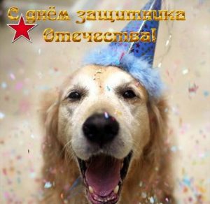 Скачать бесплатно Шуточная поздравительная открытка с 23 февраля мужчинам на сайте WishesCards.ru