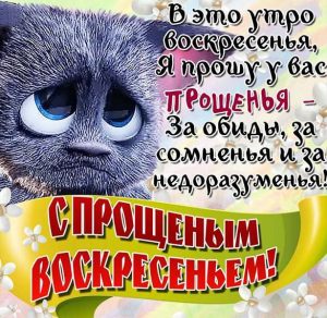Скачать бесплатно Шуточное поздравление на Прощеное Воскресенье в открытке на сайте WishesCards.ru