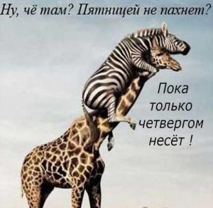 Скачать бесплатно Смешная электронная картинка про четверг на сайте WishesCards.ru