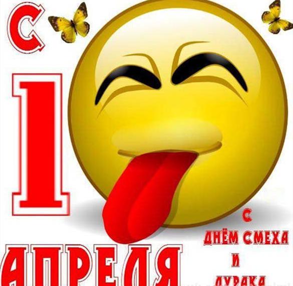 Скачать бесплатно Смешная картинка 1 апреля на сайте WishesCards.ru