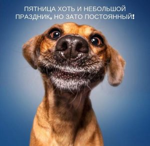 Скачать бесплатно Смешная картинка для поднятия настроения на пятницу на сайте WishesCards.ru