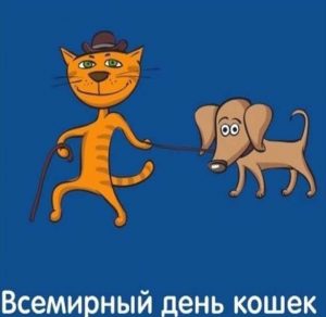 Скачать бесплатно Смешная картинка на день кошек на сайте WishesCards.ru