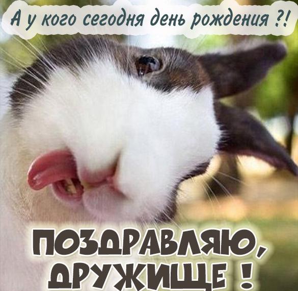 Скачать бесплатно Смешная картинка на день рождения другу на сайте WishesCards.ru