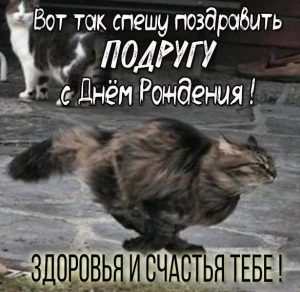 Скачать бесплатно Смешная картинка на день рождения подруге на сайте WishesCards.ru