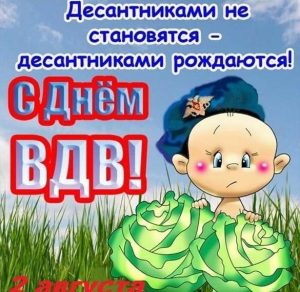 Скачать бесплатно Смешная картинка на день ВДВ на сайте WishesCards.ru