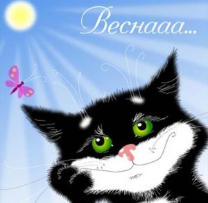 Скачать бесплатно Смешная картинка на Первый день весны на сайте WishesCards.ru