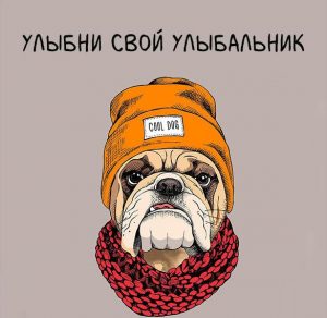 Скачать бесплатно Смешная картинка парню на сайте WishesCards.ru