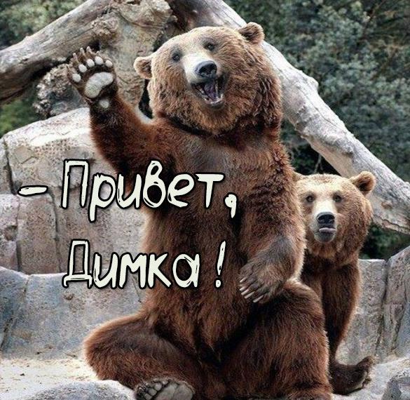 Скачать бесплатно Смешная картинка привет Димка на сайте WishesCards.ru
