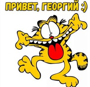 Скачать бесплатно Смешная картинка привет Георгий на сайте WishesCards.ru