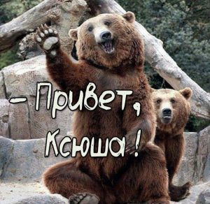 Скачать бесплатно Смешная картинка привет Ксюша на сайте WishesCards.ru