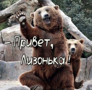 Скачать бесплатно Смешная картинка привет Лизонька на сайте WishesCards.ru