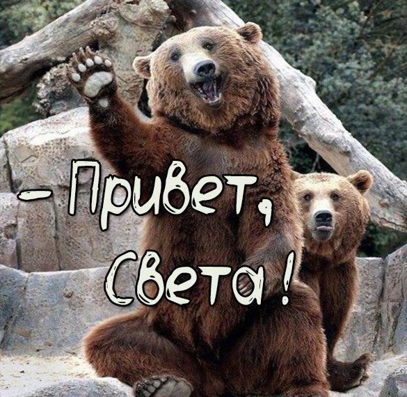 Скачать бесплатно Смешная картинка привет Света на сайте WishesCards.ru