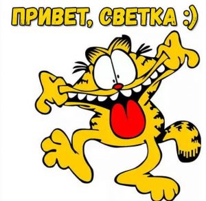 Скачать бесплатно Смешная картинка привет Светка на сайте WishesCards.ru