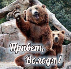 Скачать бесплатно Смешная картинка привет Володя на сайте WishesCards.ru