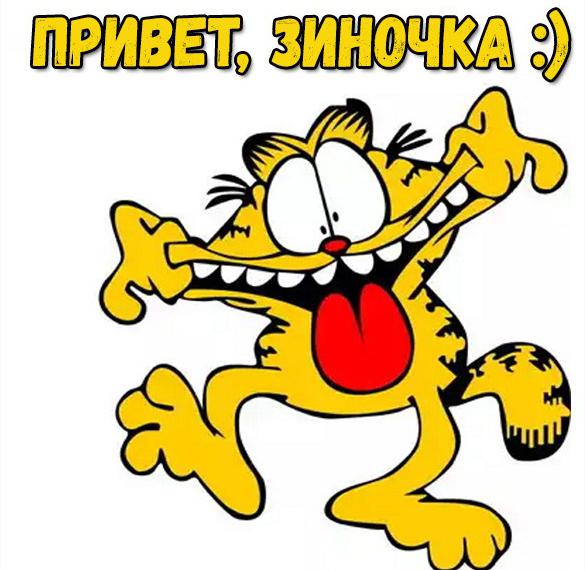 Скачать бесплатно Смешная картинка привет Зиночка на сайте WishesCards.ru