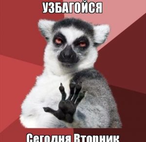 Скачать бесплатно Смешная картинка про вторник на сайте WishesCards.ru