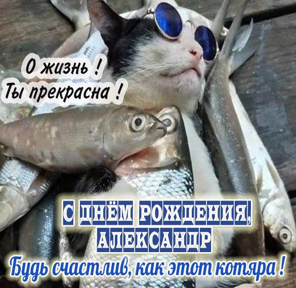 Скачать бесплатно Смешная картинка с днем рождения Александр на сайте WishesCards.ru
