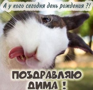 Скачать бесплатно Смешная картинка с днем рождения Дима на сайте WishesCards.ru