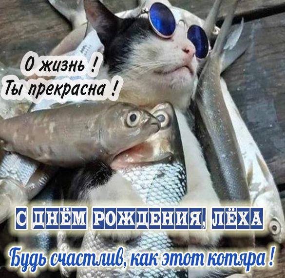 Скачать бесплатно Смешная картинка с днем рождения Леха на сайте WishesCards.ru