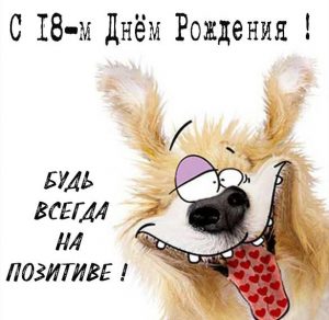 Скачать бесплатно Смешная картинка с днем рождения на 18 лет на сайте WishesCards.ru