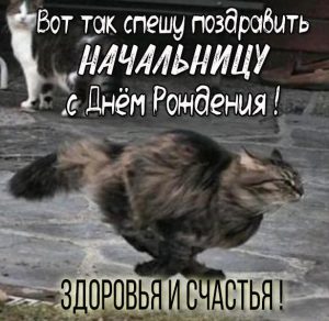 Скачать бесплатно Смешная картинка с днем рождения начальнице на сайте WishesCards.ru