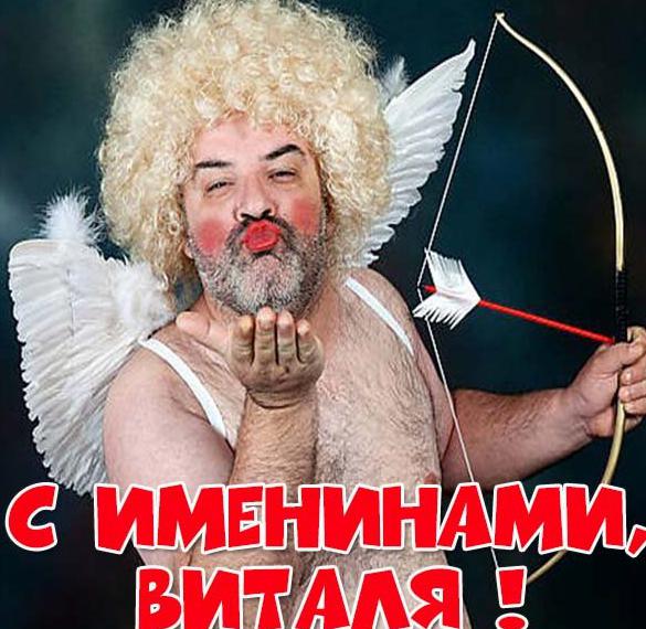 Скачать бесплатно Смешная картинка с днем Витали на сайте WishesCards.ru