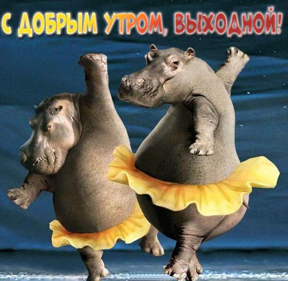 Скачать бесплатно Смешная картинка с добрым утром выходной на сайте WishesCards.ru