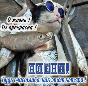 Скачать бесплатно Смешная картинка с именем Алена на сайте WishesCards.ru
