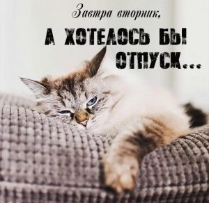Скачать бесплатно Смешная картинка с надписью завтра вторник на сайте WishesCards.ru
