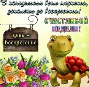 Скачать бесплатно Смешная картинка с понедельником и удачной недели на сайте WishesCards.ru