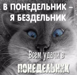 Скачать бесплатно Смешная картинка удачного понедельника на сайте WishesCards.ru