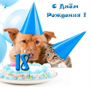 Скачать бесплатно Смешная открытка на 18 лет на сайте WishesCards.ru