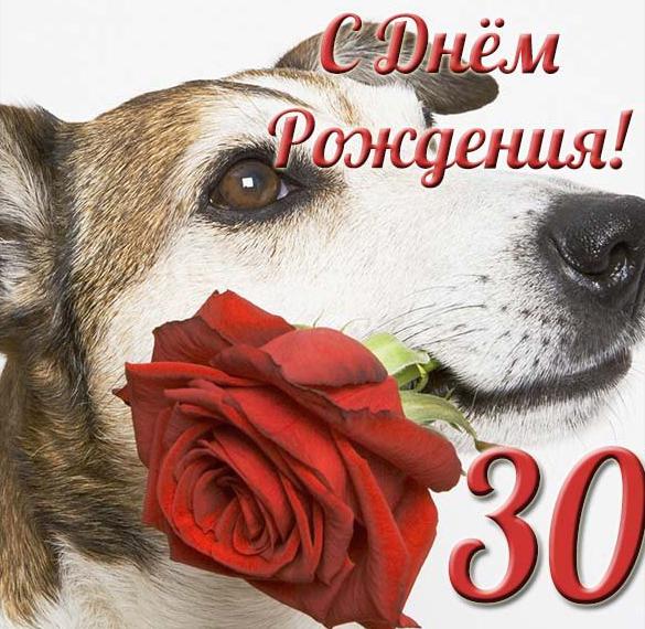 Скачать бесплатно Смешная открытка с 30 летием на сайте WishesCards.ru