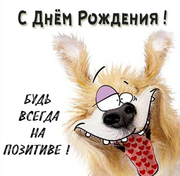 Скачать бесплатно Смешная открытка с днем рождения мужчине на сайте WishesCards.ru