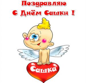 Скачать бесплатно Смешная открытка с днем Сашки на сайте WishesCards.ru