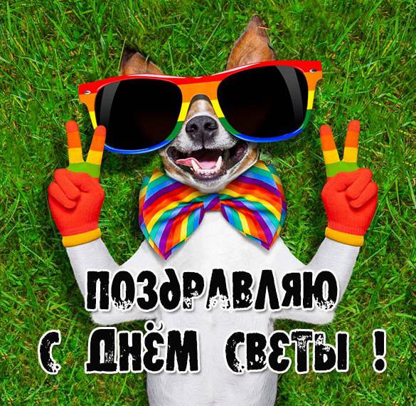 Скачать бесплатно Смешная открытка с днем Светы на сайте WishesCards.ru