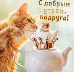 Скачать бесплатно Смешная открытка с добрым утром подруге на сайте WishesCards.ru