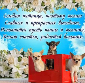 Скачать бесплатно Смешная открытка с пятницей и хороших выходных на сайте WishesCards.ru