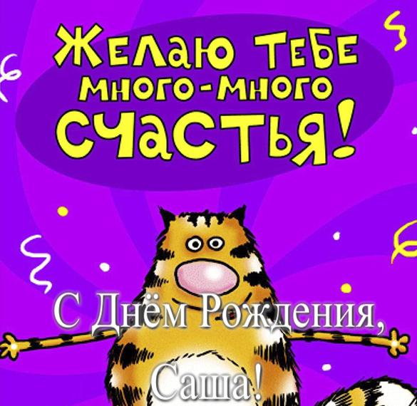 Скачать бесплатно Смешная открытка Саше с днем рождения на сайте WishesCards.ru