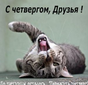 Скачать бесплатно Смешная прикольная картинка про четверг на сайте WishesCards.ru