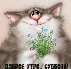 Скачать бесплатно Смешная прикольная картинка про доброе утро субботы на сайте WishesCards.ru