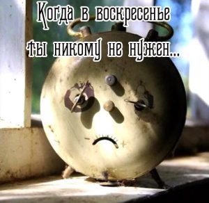 Скачать бесплатно Смешная прикольная картинка про выходное день воскресенье на сайте WishesCards.ru