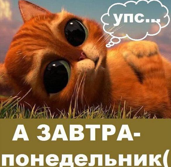 Скачать бесплатно Смешная прикольная картинка завтра понедельник на сайте WishesCards.ru