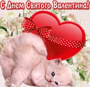 Скачать бесплатно Смешная прикольная открытка с днем Валентина на сайте WishesCards.ru